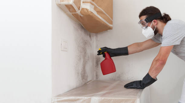 Professional Mold Removal technician working in Pompton Plains, NJ