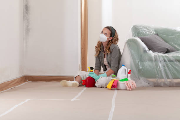 Reliable Mold Removal contractor in Pompton Plains, NJ by Mold Remediation HQ